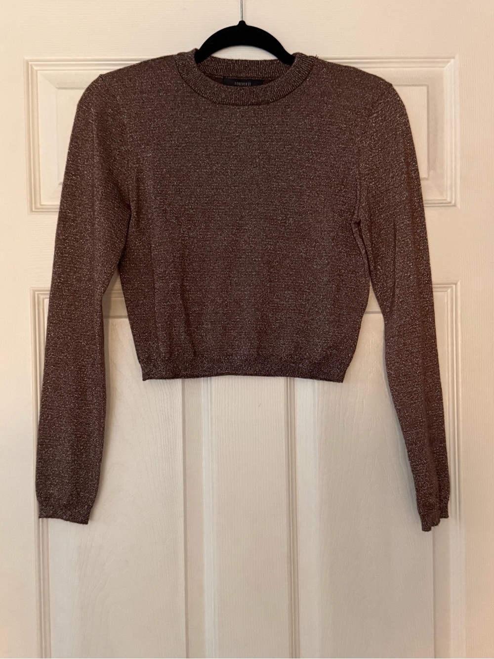 NWOT Forever 21 Shimmery Brown Cropped Long-Sleeve Top
